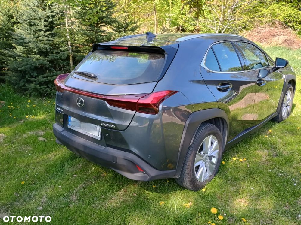 Lexus UX 250h Prestige 2WD - 4