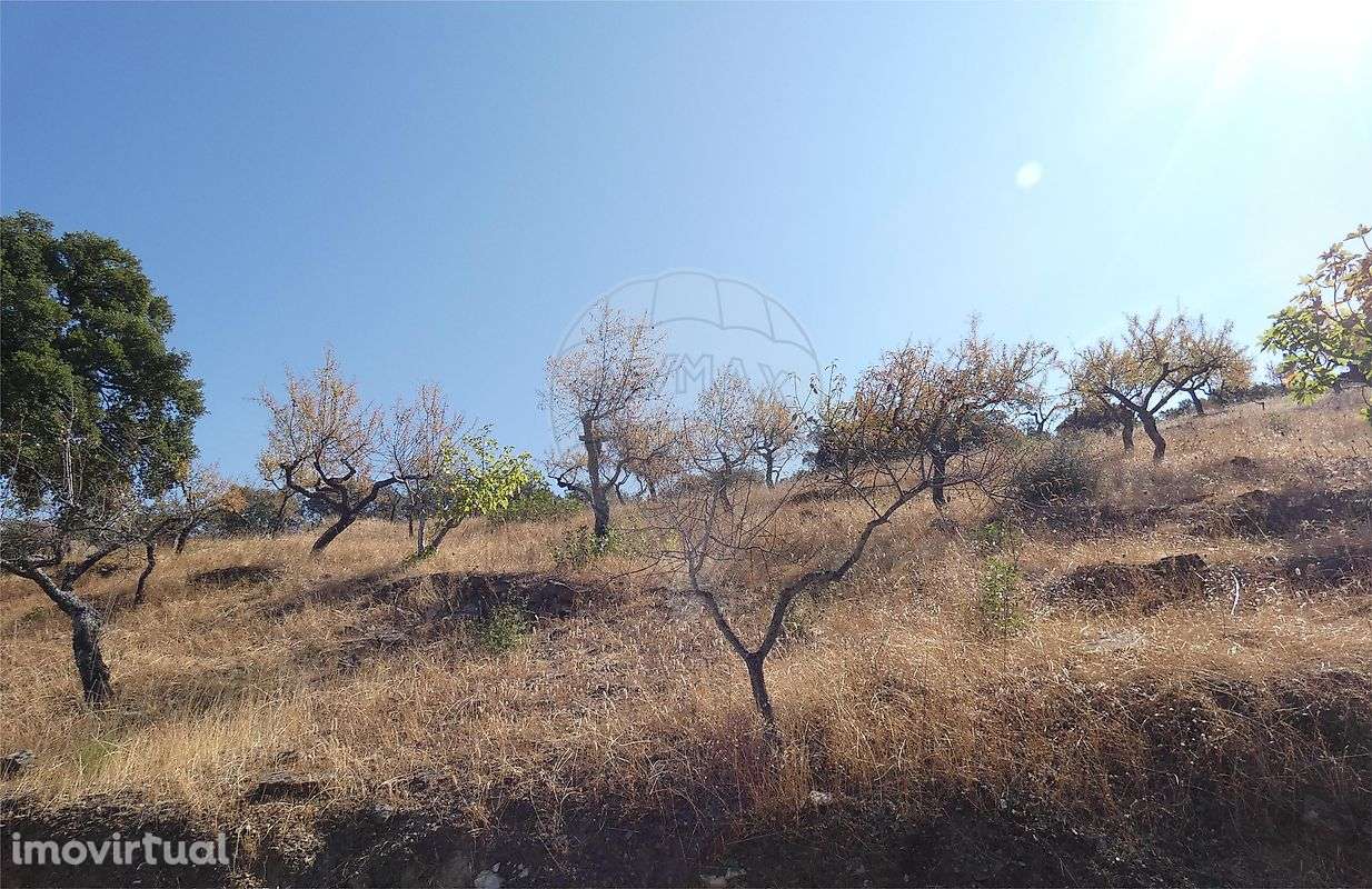 Terreno  para venda - Grande imagem: 4/14