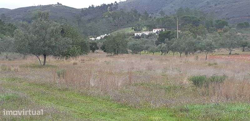 Terreno Agricola en Salir de Loulé - Grande imagem: 2/4