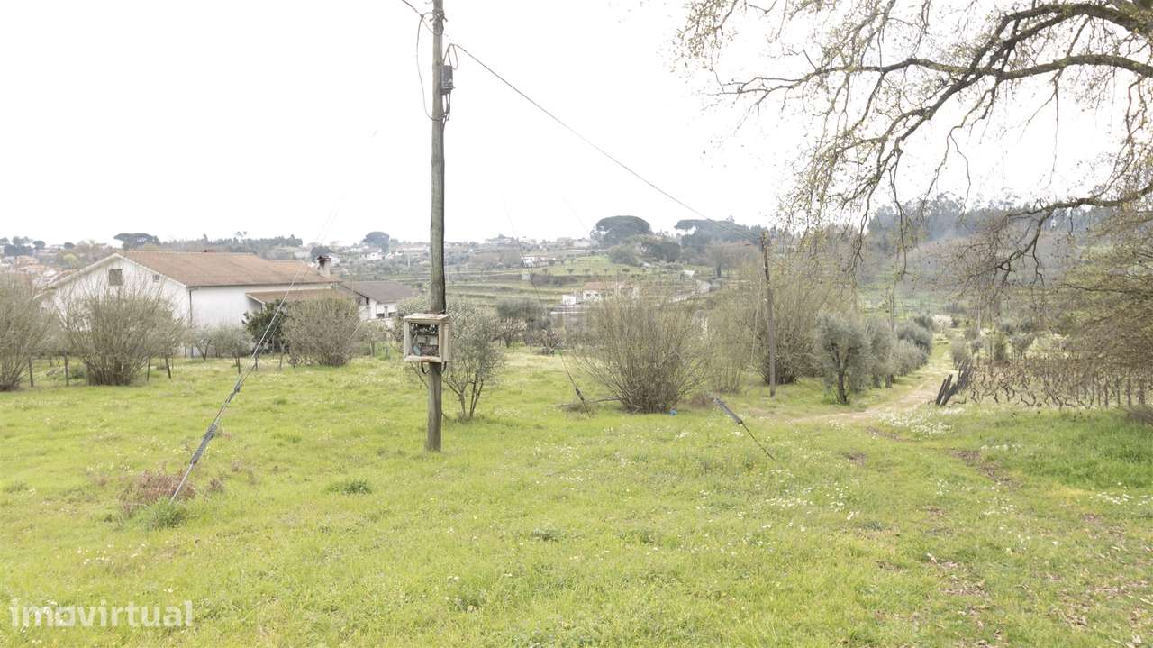 Terreno para Construção - Silgueiros - Grande imagem: 5/10