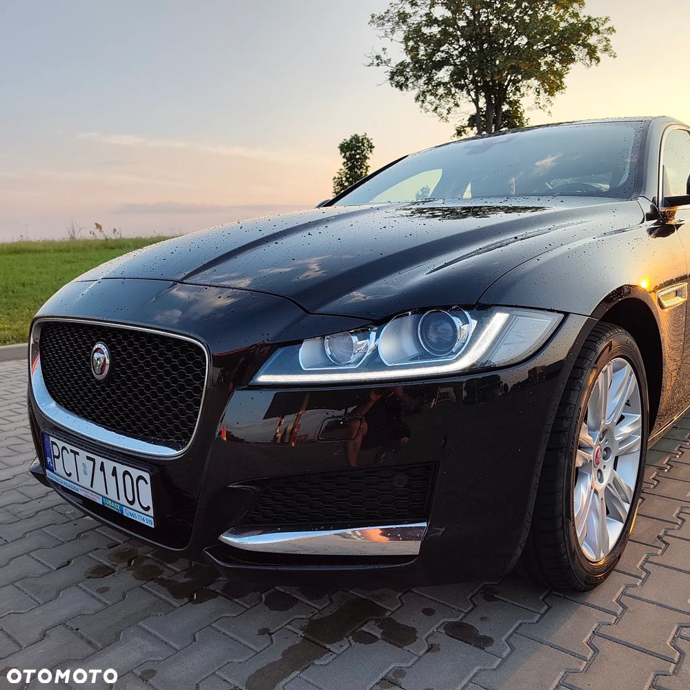 Jaguar XF 2.0 i4D Prestige - 8