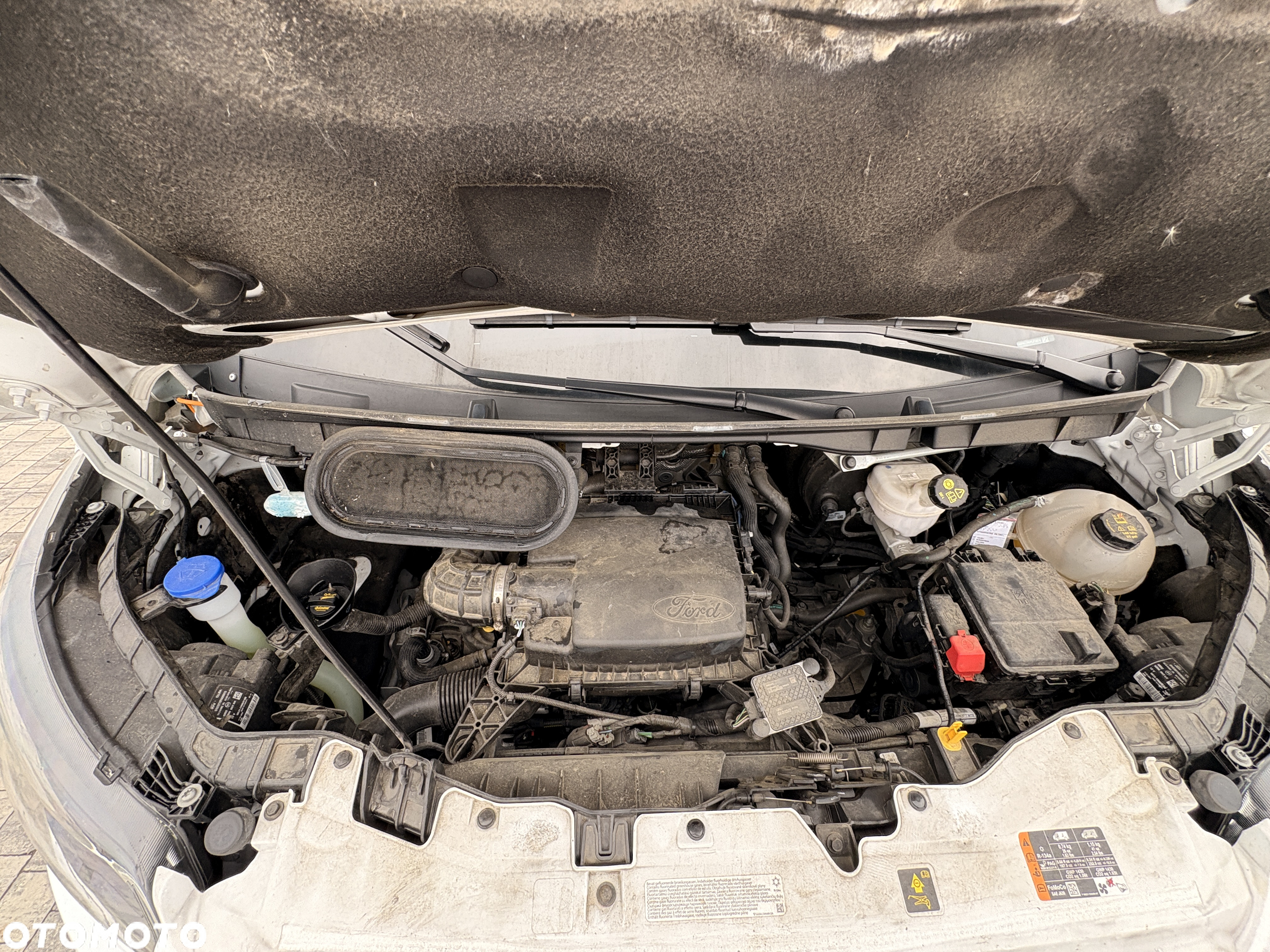 Ford Transit - 23