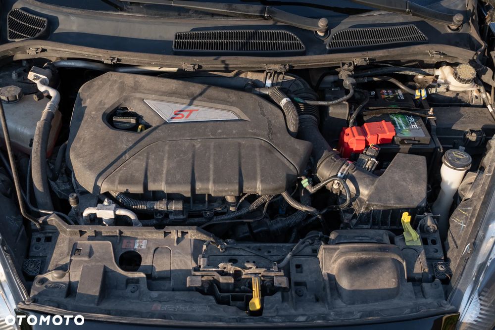 Ford Fiesta 1.6 EcoBoost ST - 18