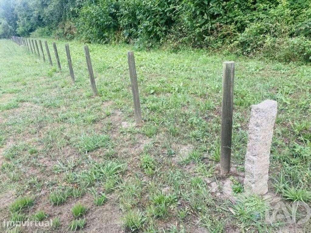 Terreno Agrícola em Loivo - Grande imagem: 2/17