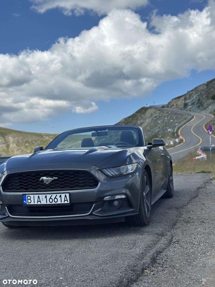 Ford Mustang - 20