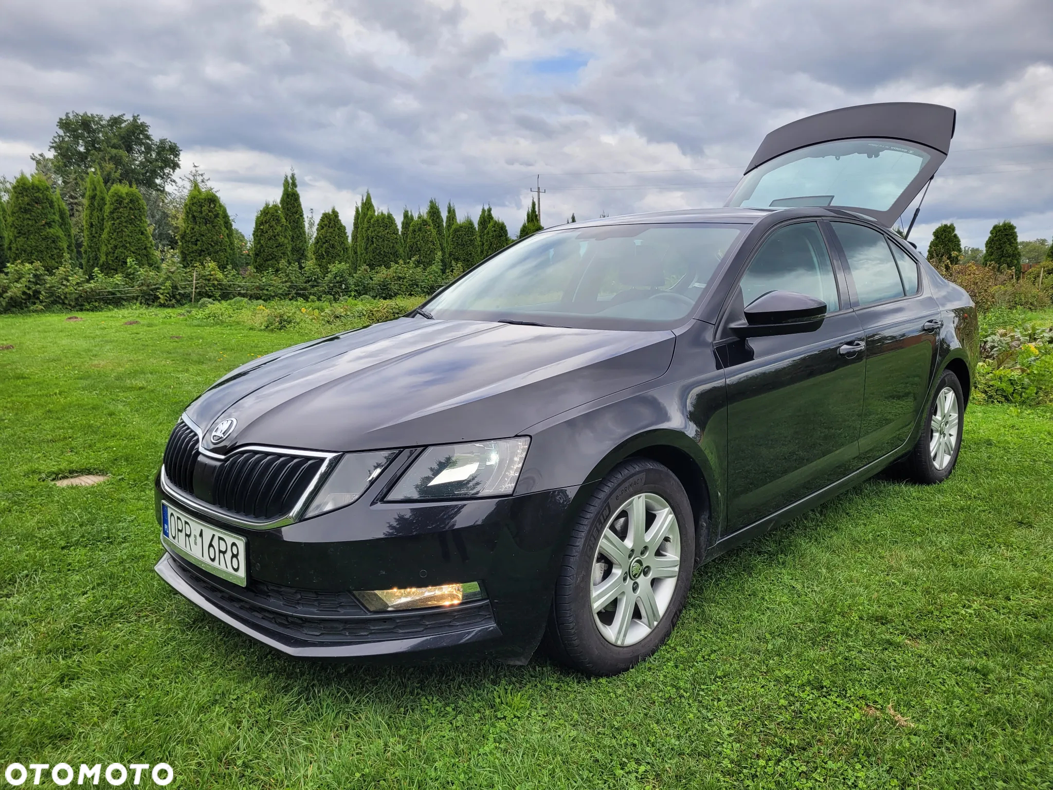 Skoda Octavia 1.6 TDI SCR Ambition - 24