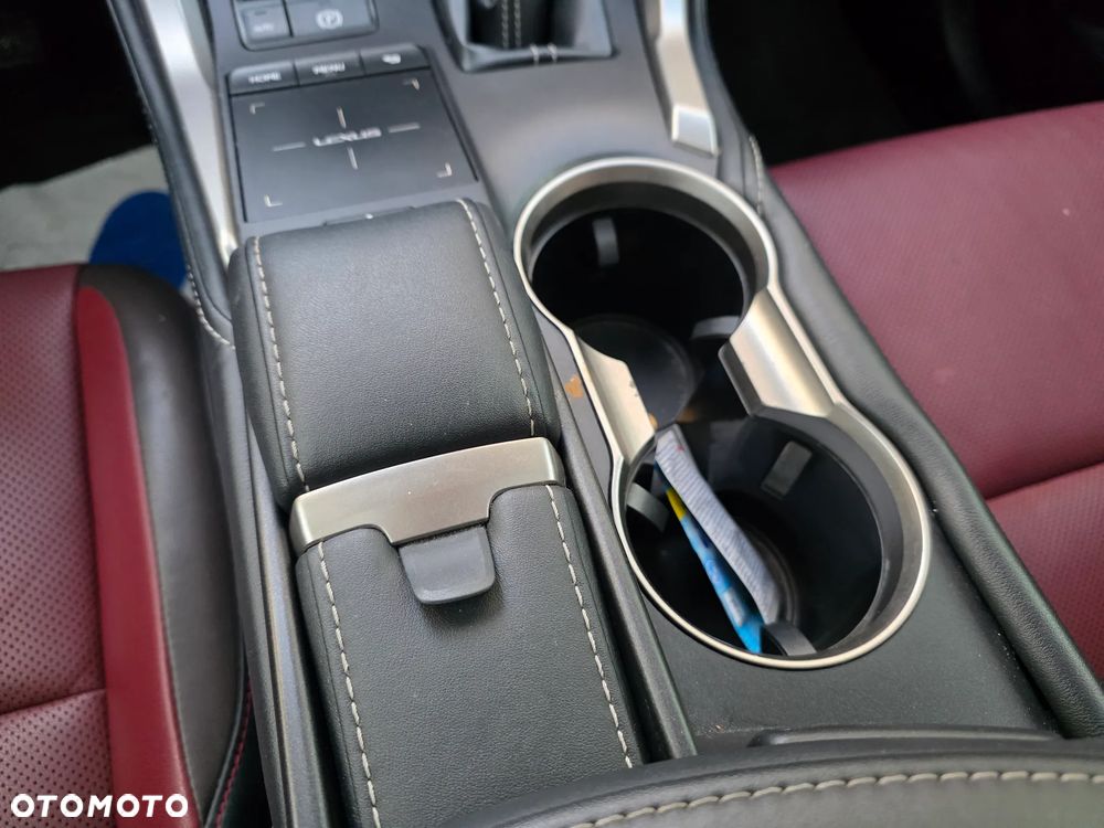 Lexus NX 300 Executive Line - 22