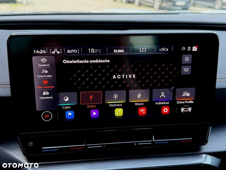 Cupra Formentor - 24