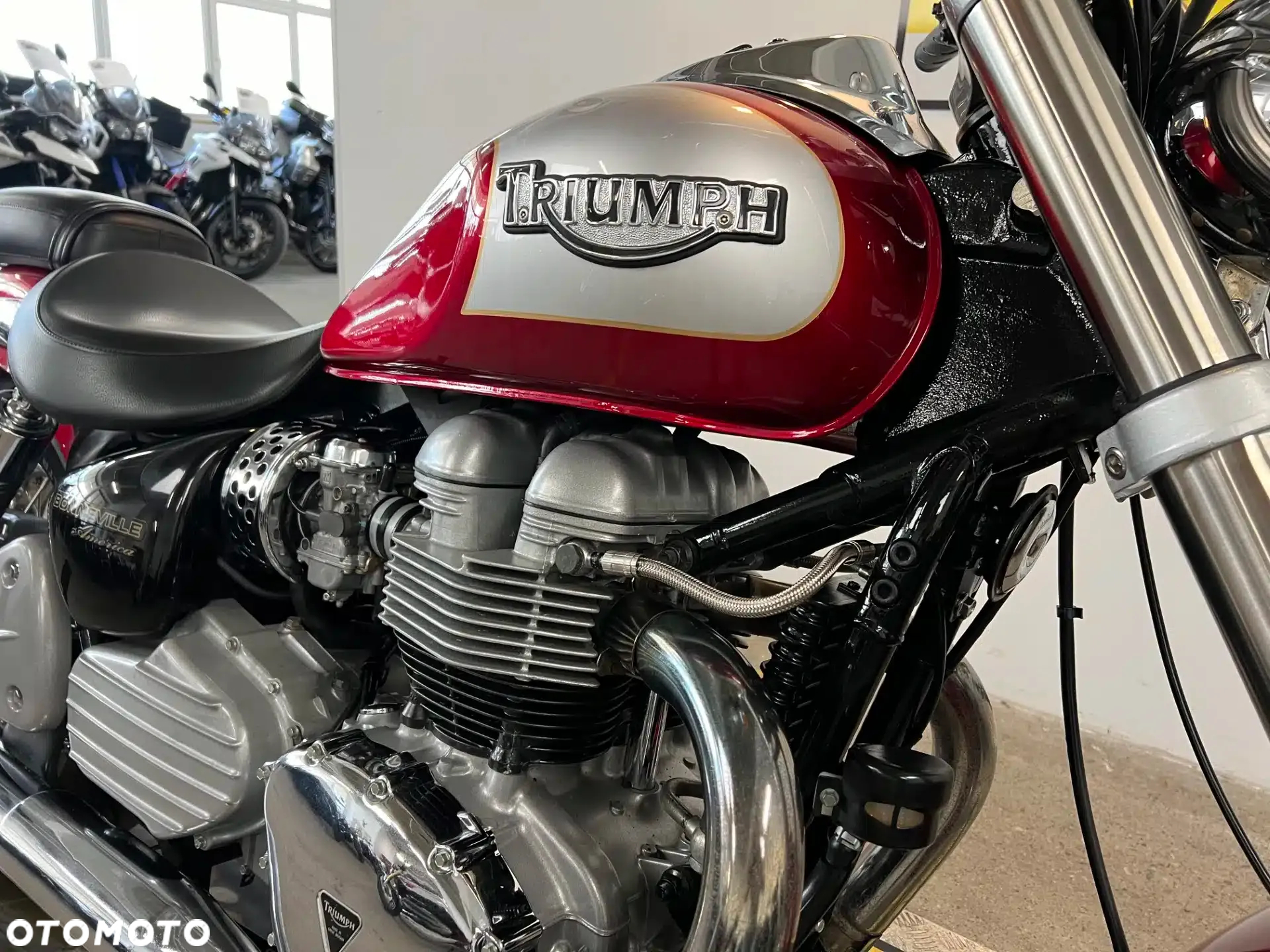 Triumph America - 12