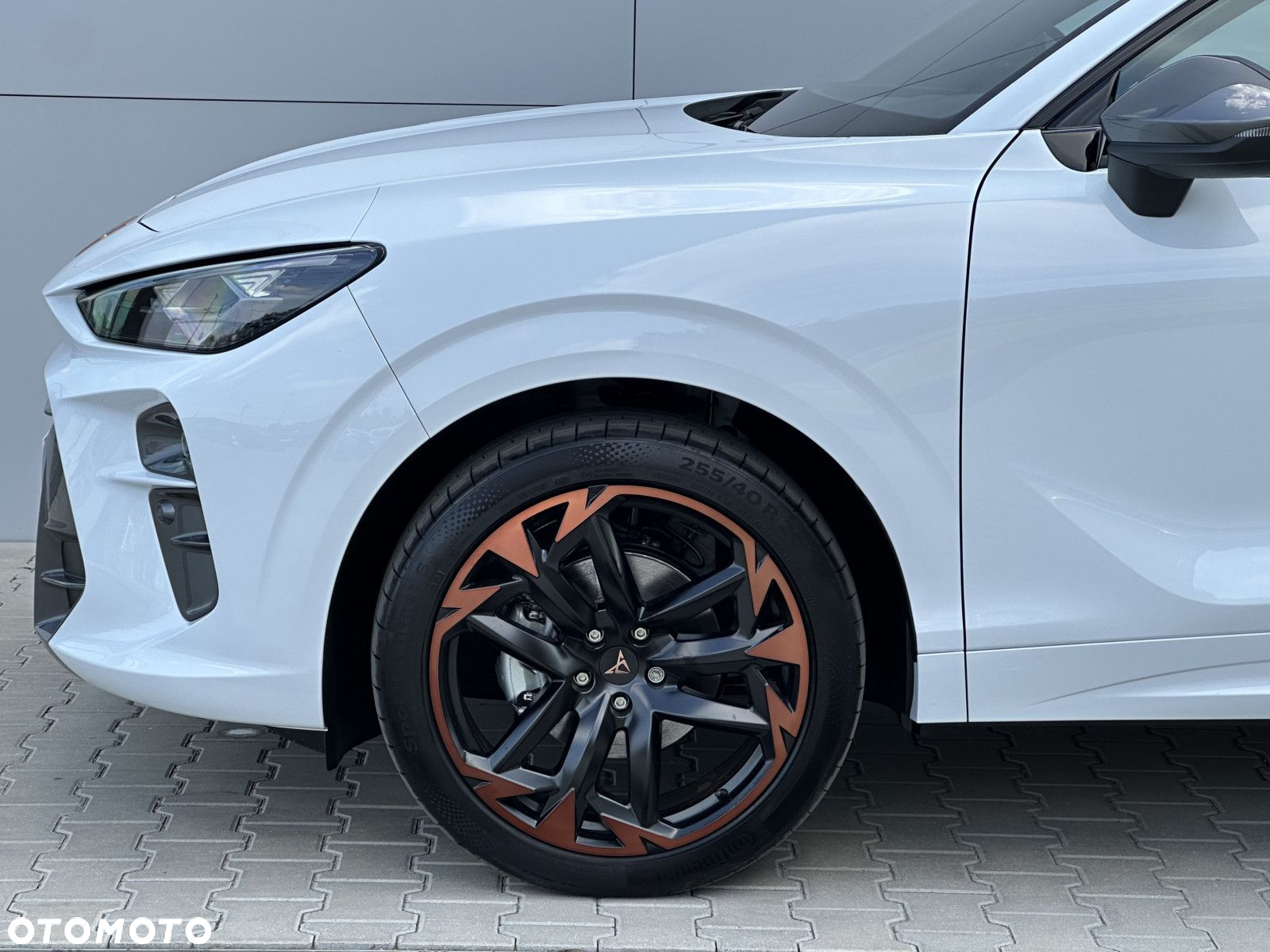 Cupra Terramar - 9