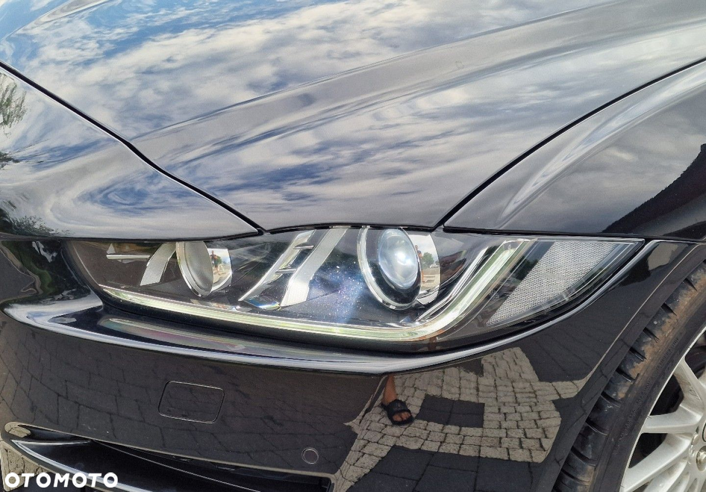 Jaguar XE - 8