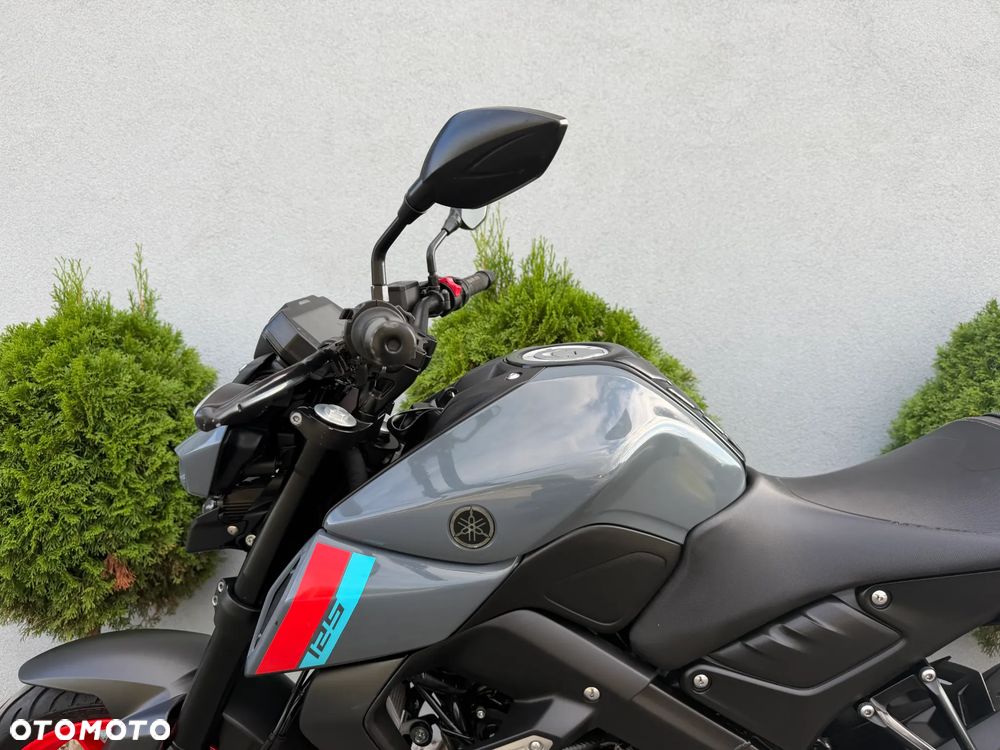 Yamaha MT - 36