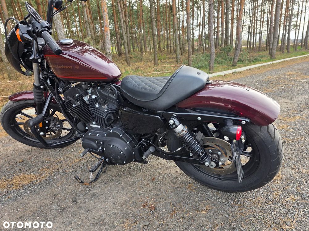 Harley-Davidson XR 1200 - 9