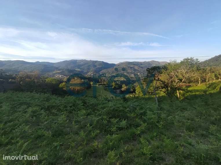 TERRENO + CASA PRÉ-FABRICADA EM FRIANDE - PÓVOA DE LANHOSO - Grande imagem: 2/6