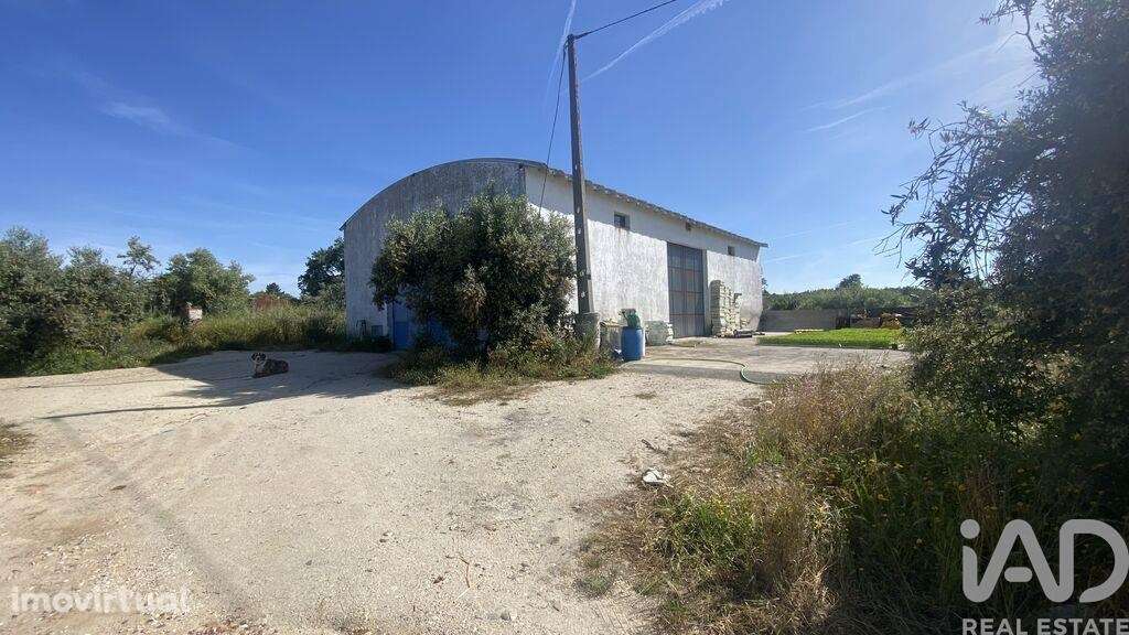 Terreno T2 em São Facundo e Vale das Mós de 568000,00 m2 - Grande imagem: 2/6