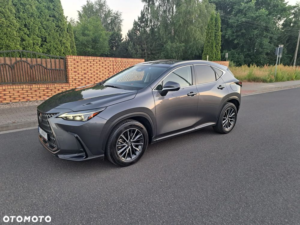 Lexus NX 450h+ E-FOUR Luxury - 2