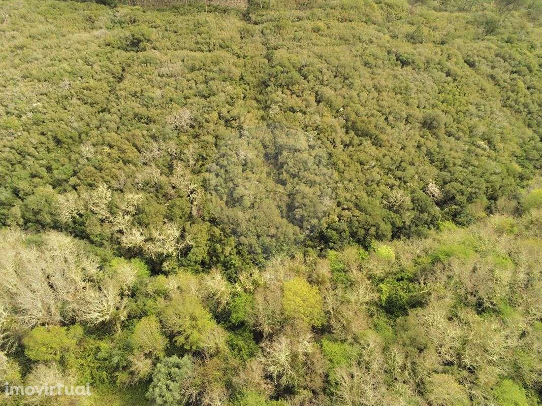 Terreno  para venda - Grande imagem: 3/3