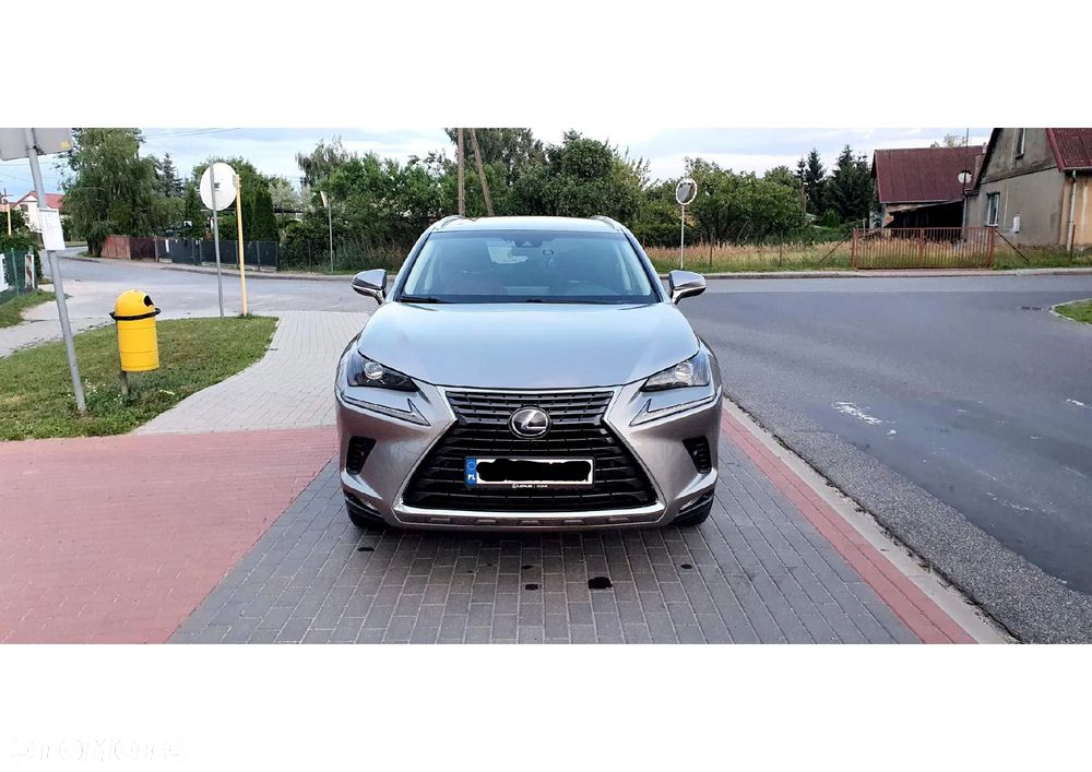 Lexus NX 300h Comfort AWD - 5