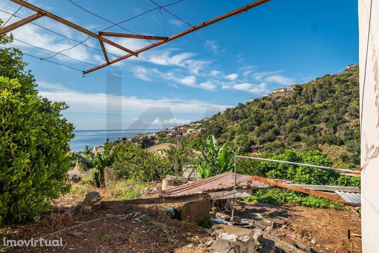 Casas T2 + Casa T4 + Terreno: Excellente Oportunidade de Investimento - Grande imagem: 5/35