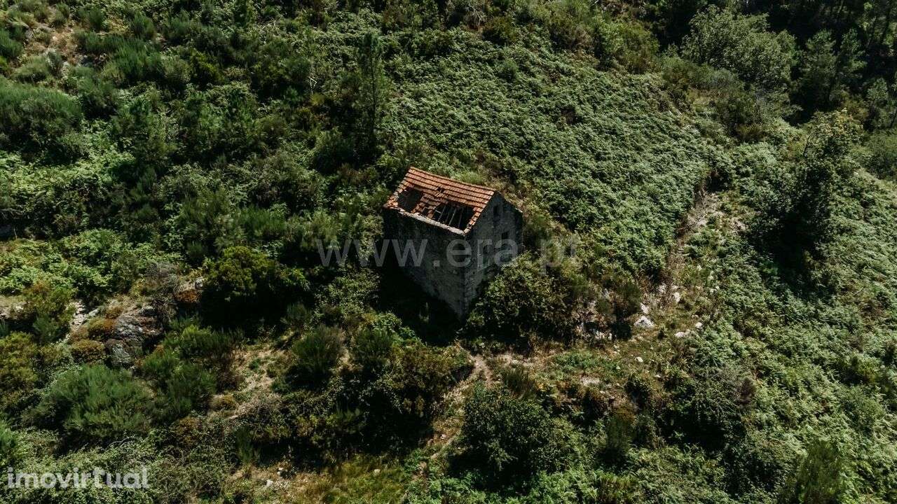 Terreno / Seia, Loriga - Grande imagem: 2/2