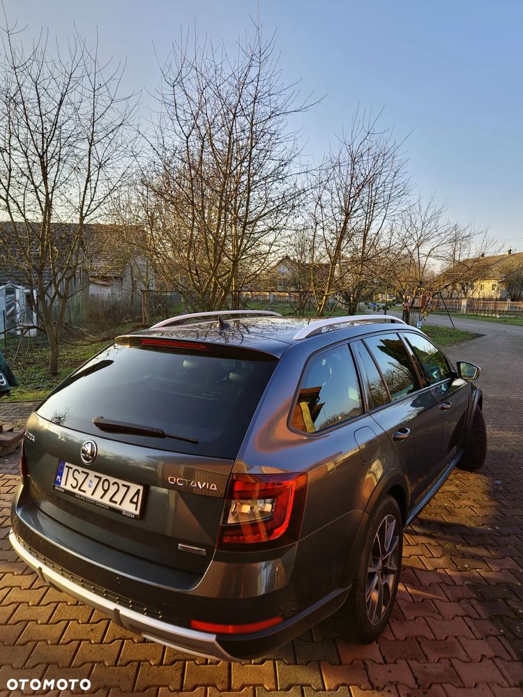 Skoda Octavia Scout 2.0 TDI 4x4 DSG - 19