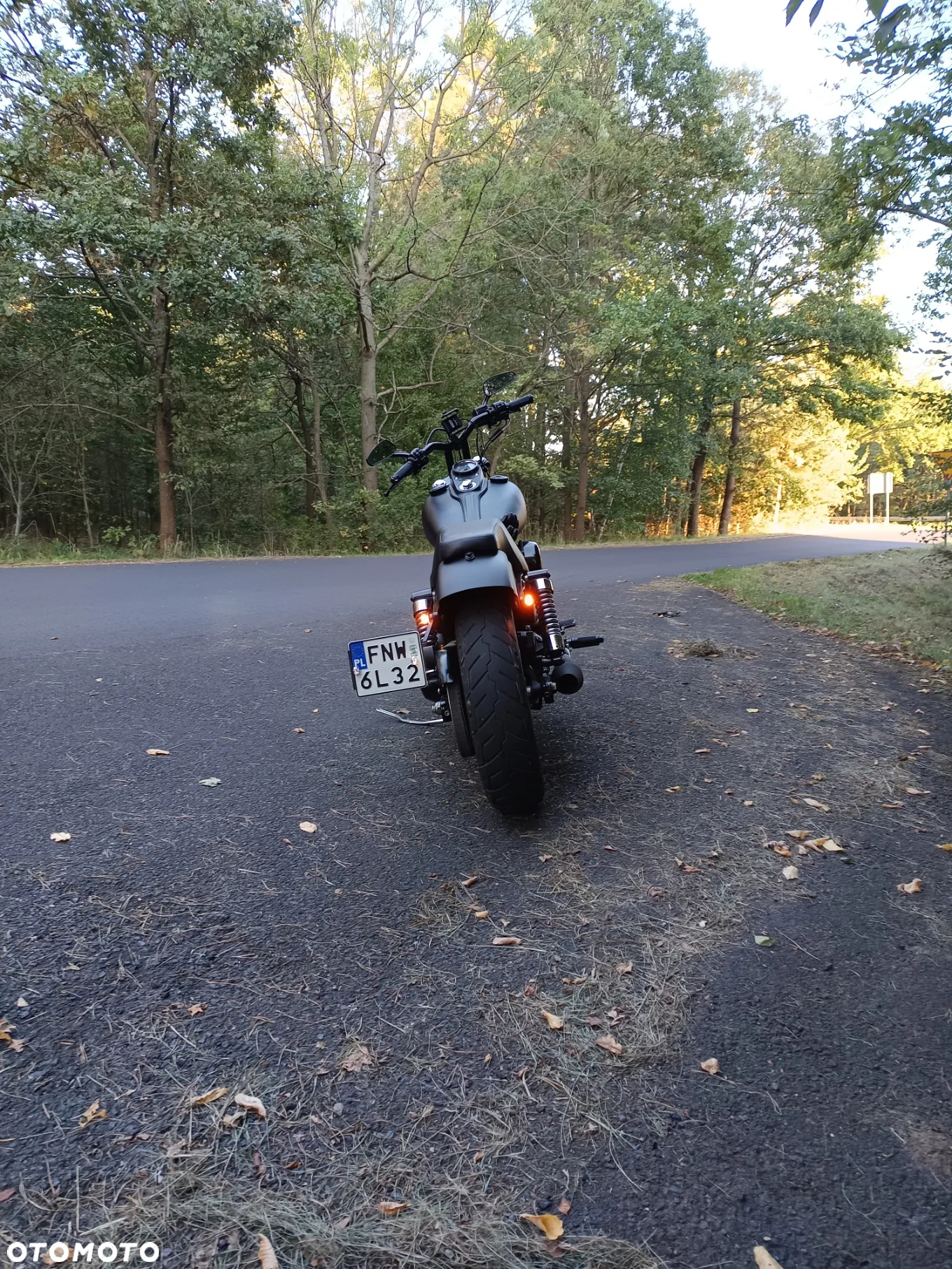 Harley-Davidson Dyna Street Bob - 10