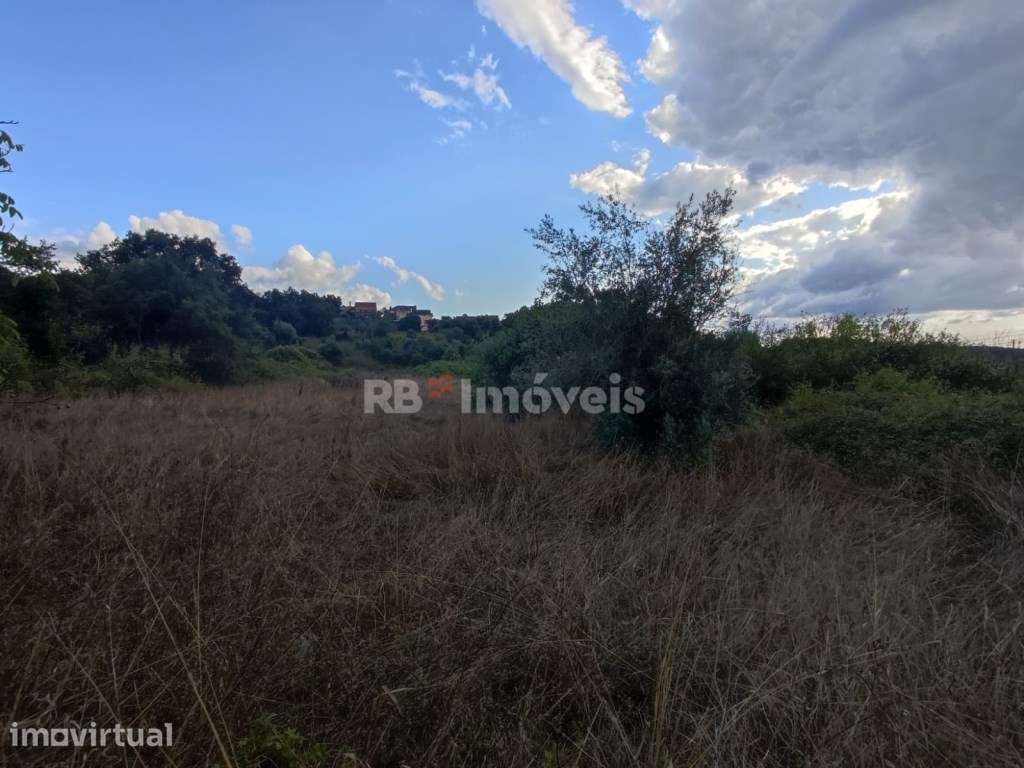Terreno rústico com 1280m² - Ferreira do Zêzere - Grande imagem: 2/13