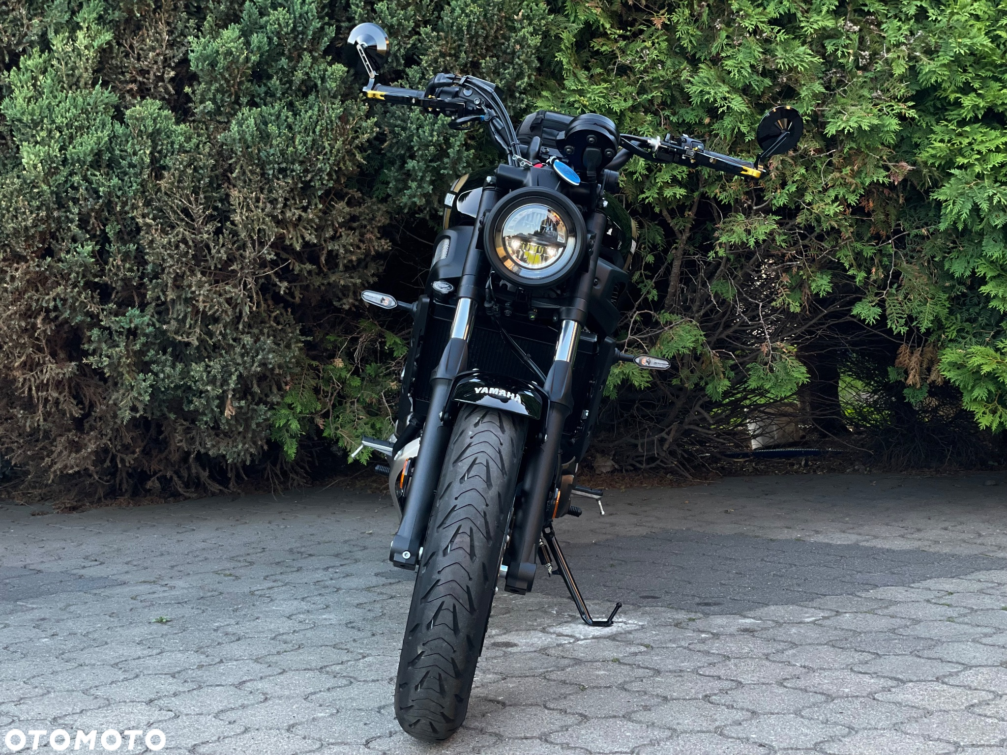 Yamaha XSR - 8
