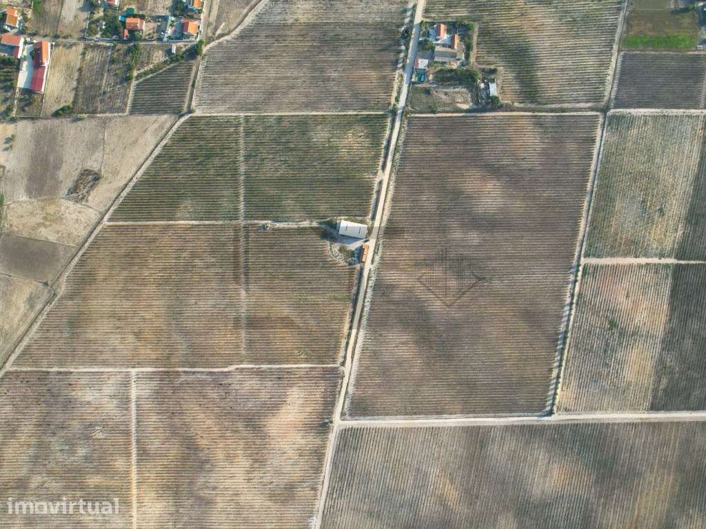 2 Terrenos / Vinha para Venda em Marateca, Palmela, Setúbal - Grande imagem: 4/33