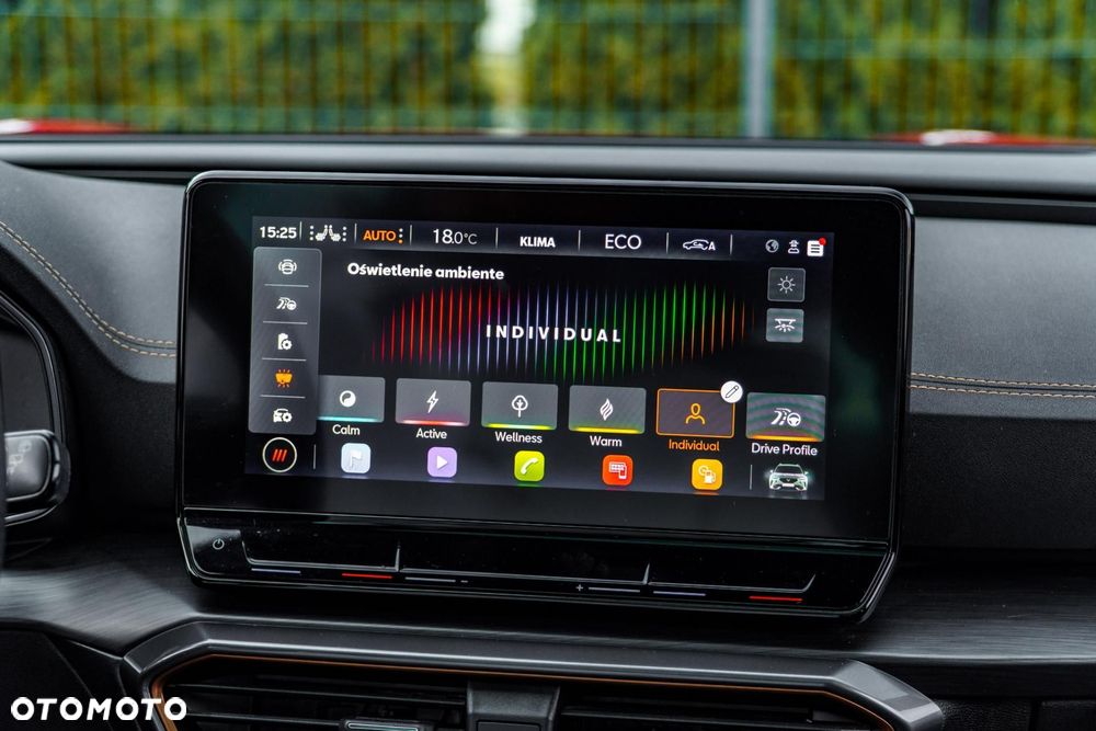 Cupra Formentor - 25