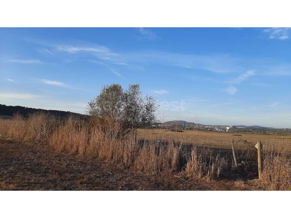 Terreno de Cultura Arvense de Nat Rustica em Almargem do Bispo - Grande imagem: 4/15