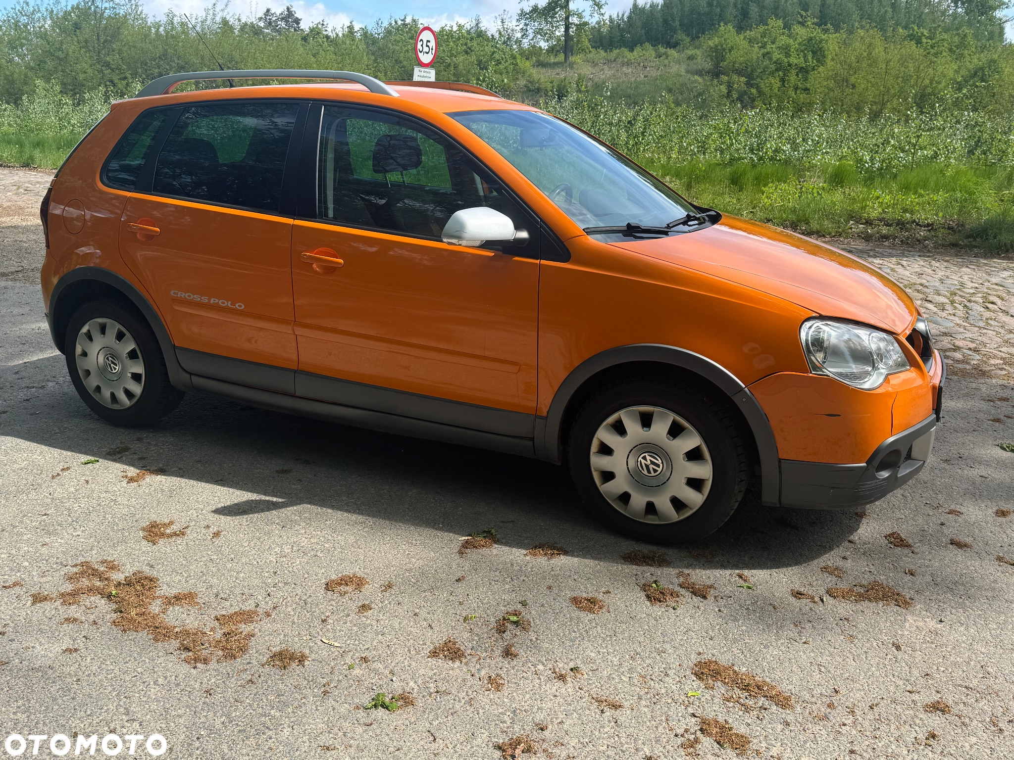Volkswagen Polo Cross 1.6 - 15