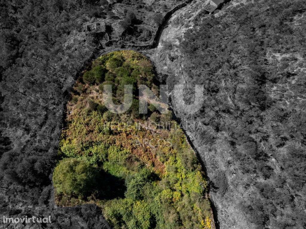 Terreno Rústico - Grande imagem: 4/21