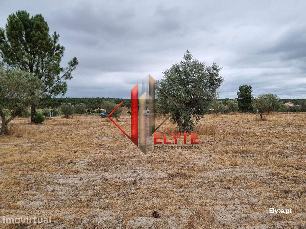 Terreno urbanizável na Branca – Coruche - Grande imagem: 3/23