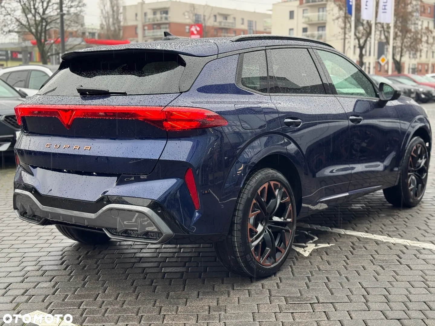 Cupra Terramar 2.0 TSI 4Drive DSG - 9