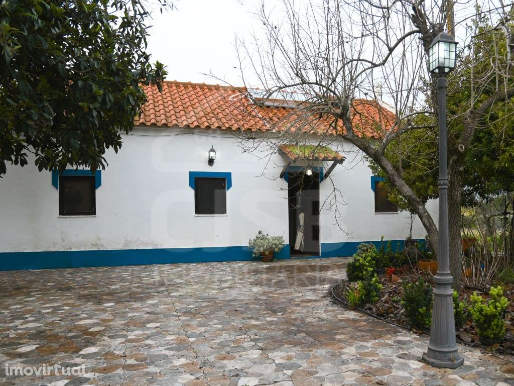 Quinta T4 à Venda nos Foros da Branca - Grande imagem: 4/42