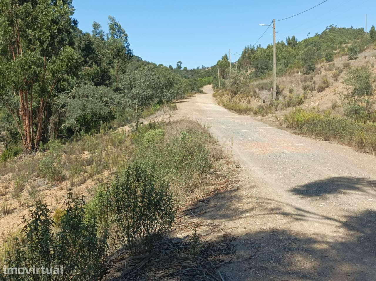 Terreno rustico de 11 hectares na zona de Santa Maria na Freguesia de - Grande imagem: 3/16