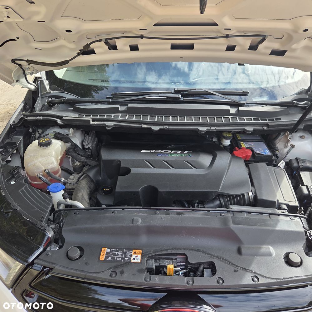 Ford Inny - 14