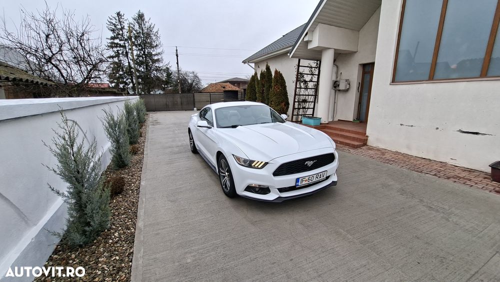 Ford Mustang - 1