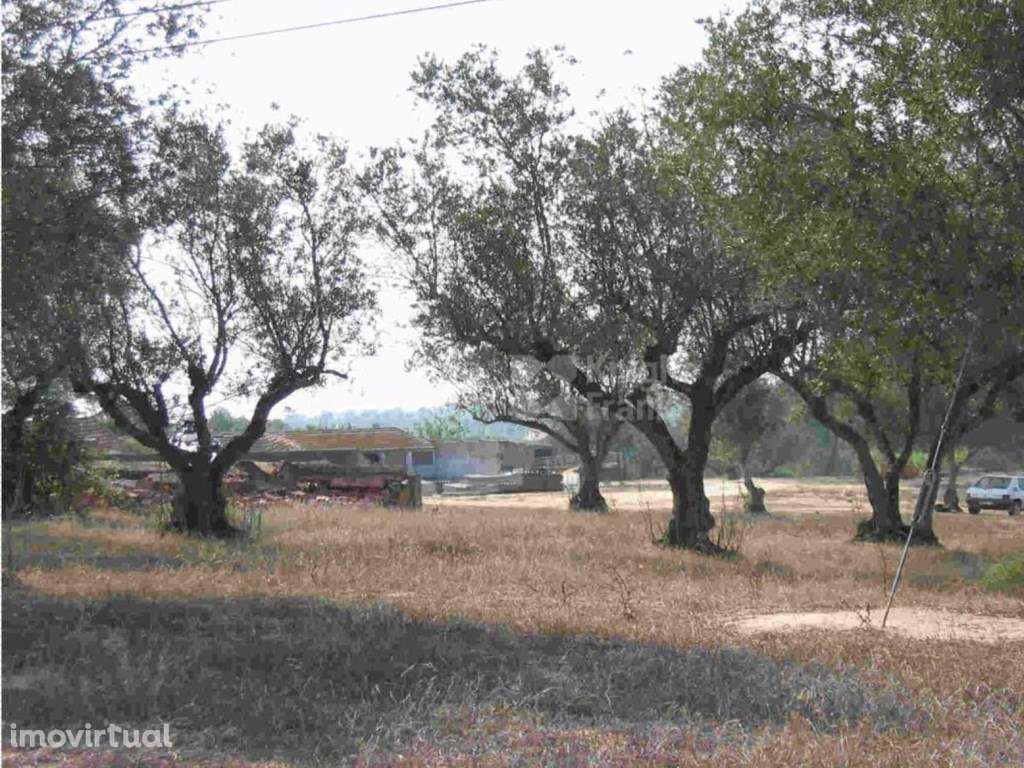 Terreno com 31750 m2 com PIP aprovado em Coruche, Santarém - Grande imagem: 3/17