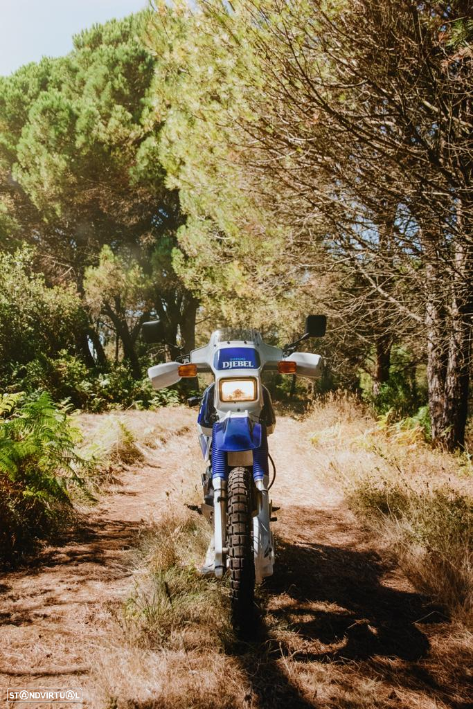 Suzuki DR DR 600 DJEBEL - 5