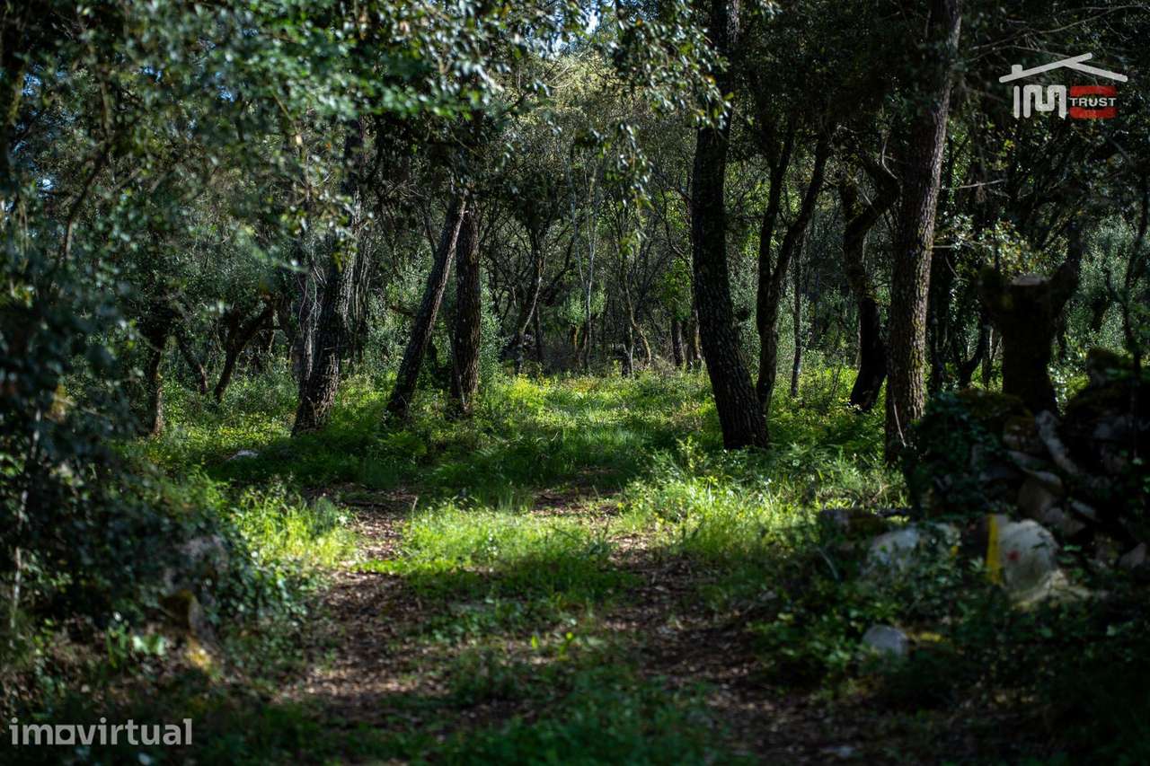 TERRENO COM AREA DE 4280 M2 COM VIABILIDADE DE CONSTRUÇÃO JA TEVE P... - Grande imagem: 3/11