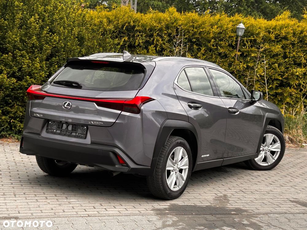 Lexus UX 250h (E-FOUR) Executive Line - 20