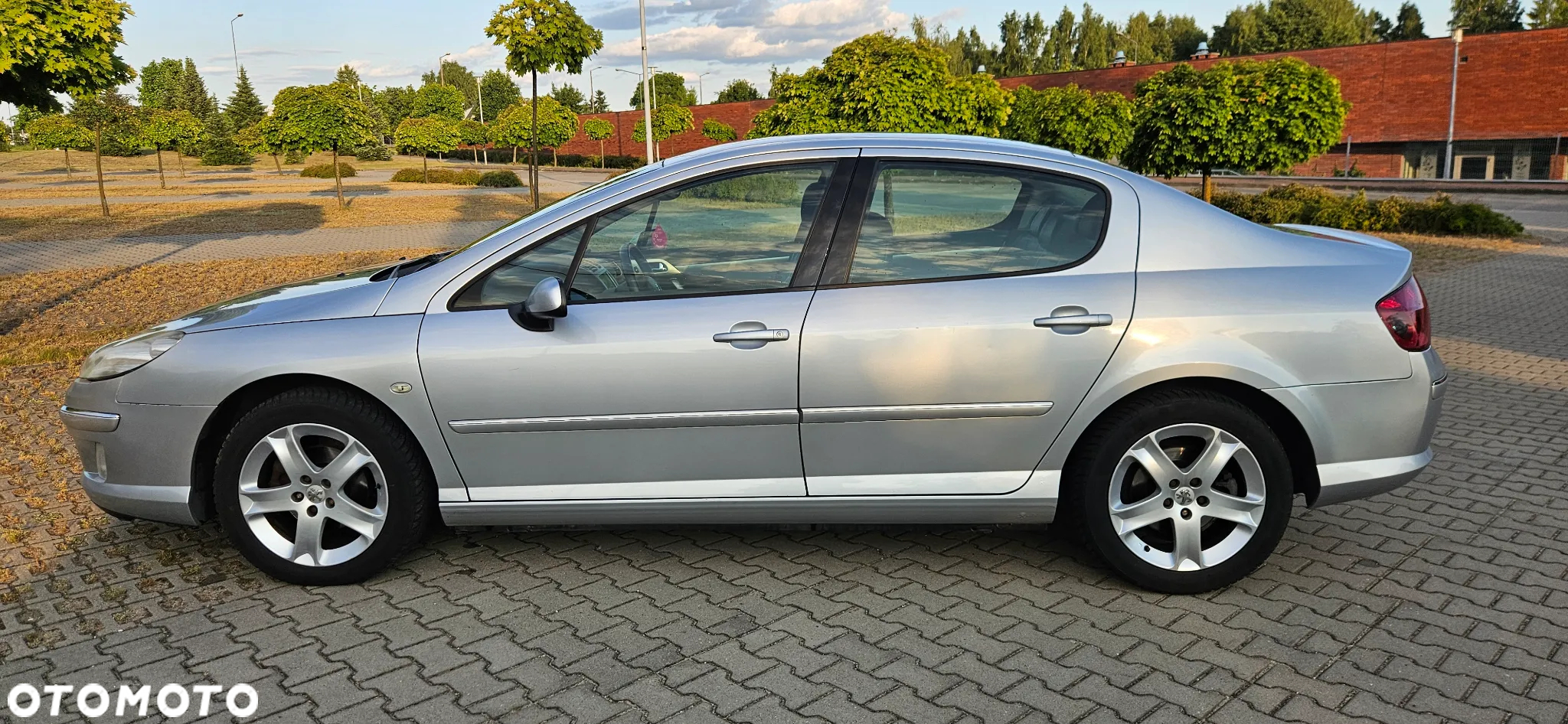 Peugeot 407 2.0 HDi Premium - 7