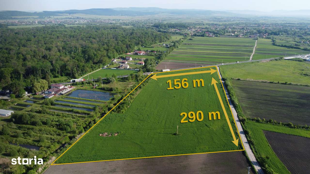 TEREN 45.000 MP | PUZ APROBAT | 156 M FRONT DN11 | PREJMER - BRASOV - Imagine principală: 3/8