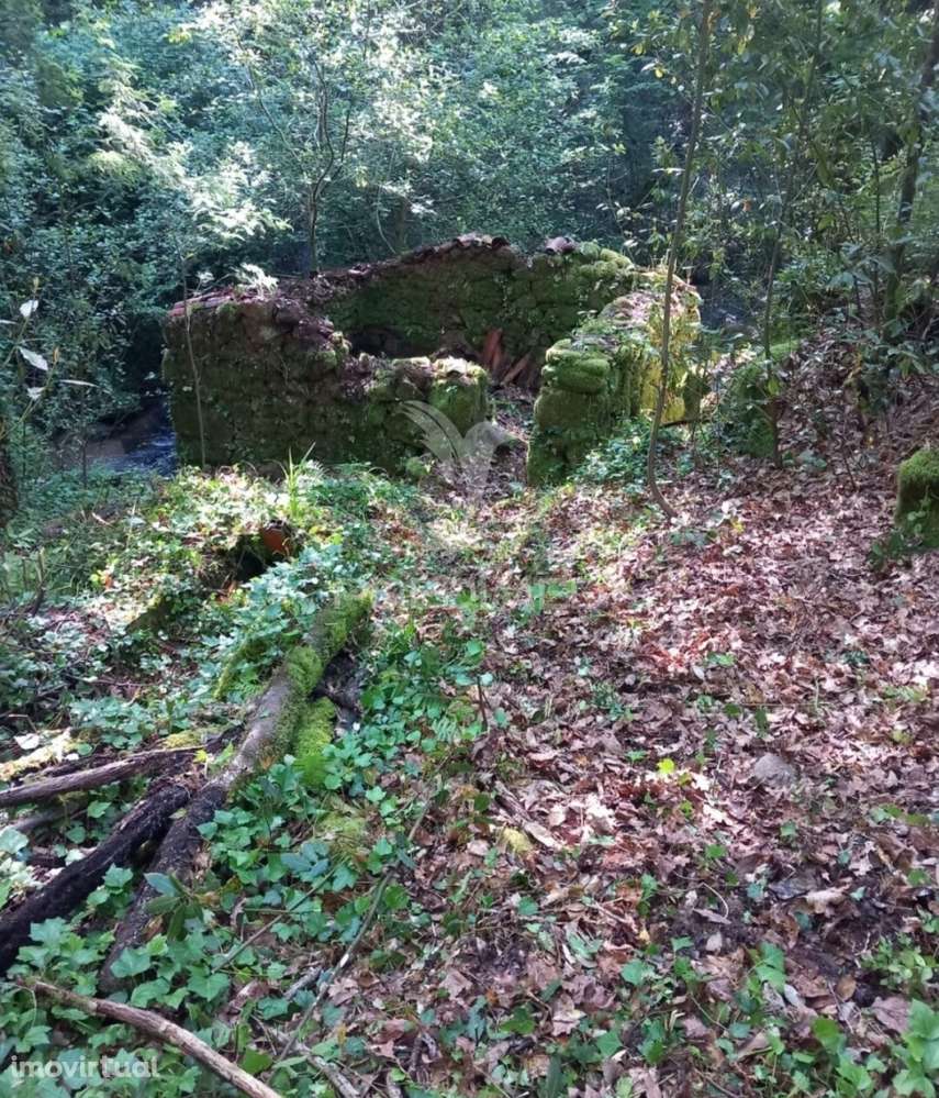 Azenha encantadora no coração da natureza — refúgio único junto à água - Grande imagem: 3/12