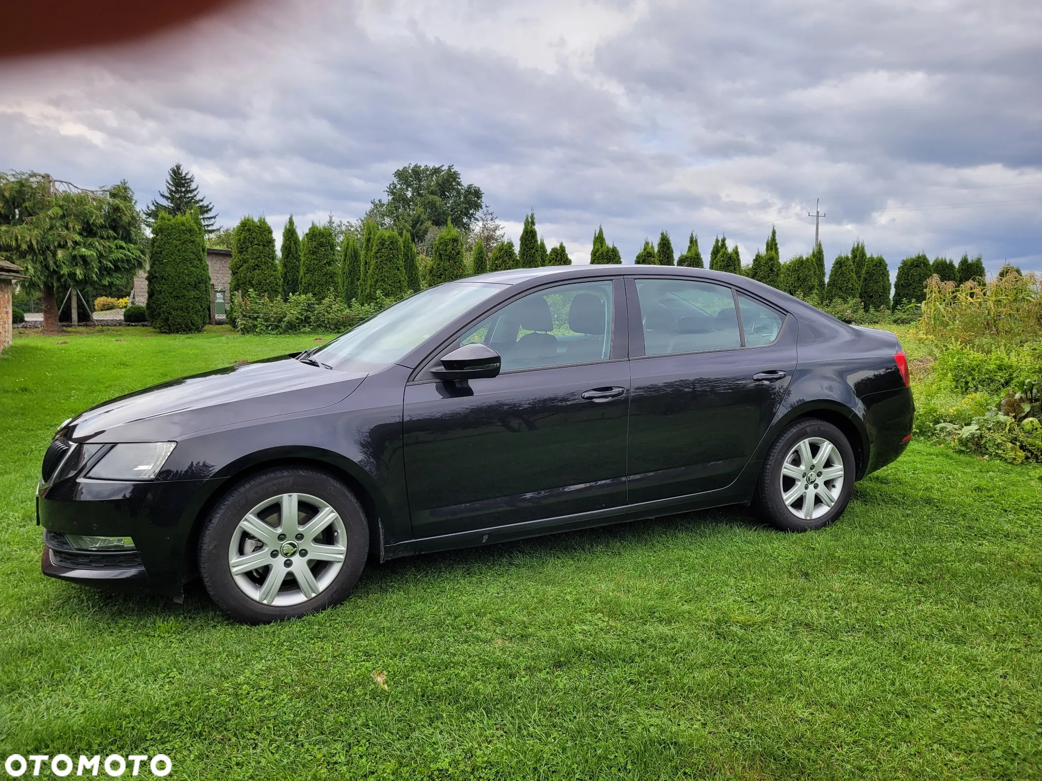 Skoda Octavia 1.6 TDI SCR Ambition - 4