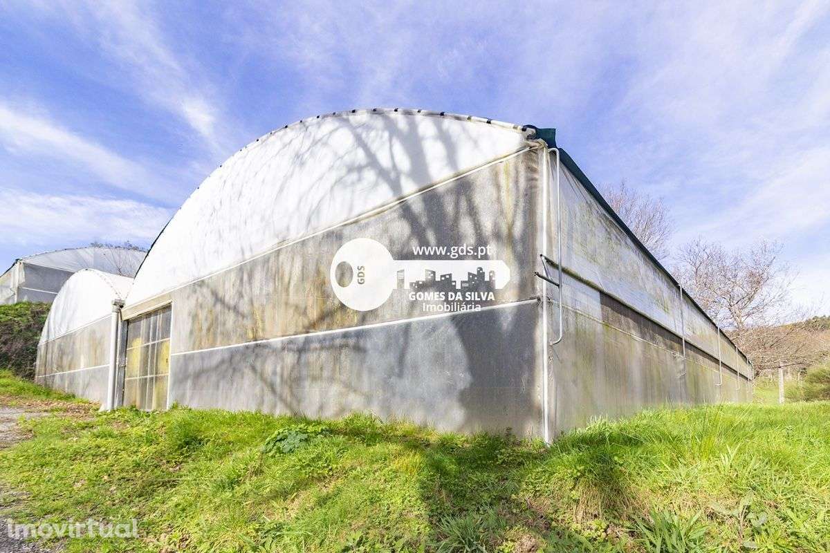 Terreno de 4110m2 c/ duas estufas de 1200m2 em Fafe - Grande imagem: 5/12