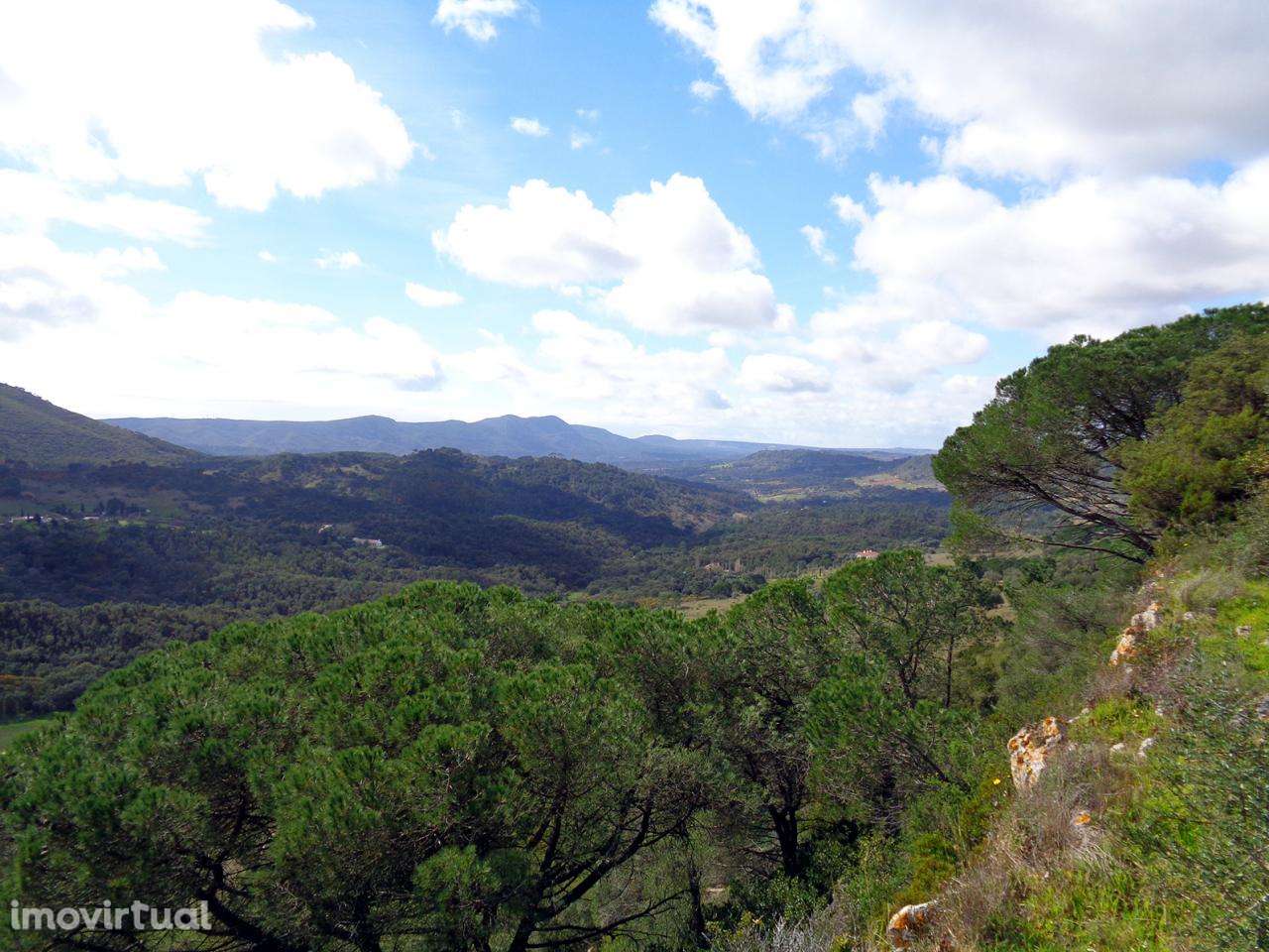Parque Natural Arrábida Azeitão Terreno 5 Ha no cimo da serra . - Grande imagem: 2/5