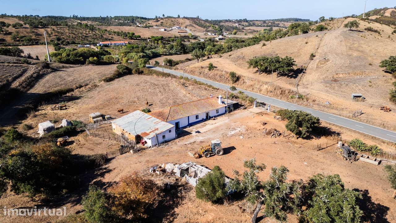 HERDADE COM 193 HECTARES | BOAVISTA DOS PINHEIROS, ODEMIRA - Grande imagem: 4/25